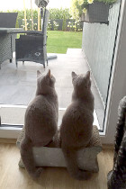 Mama Indira links und ihr Sohn Perry sitzt rechts, Juli 2016
