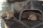 Perry mit seiner Mama Indira beim Chillen !!