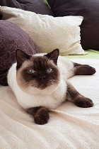Olaf ist 1,3 Jahre alt und lebt in OÖ