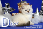 Dave ist 7 Wochen alt ( 21.12.2019 )