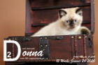 Donna ist 12 Wochen alt ( 24.01.2020 )
