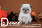 Donna ist 10 Tage alt ( 10.11.2019 )