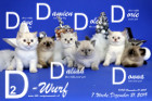 Unser D2-Wurf ist 7 Wochen alt ( 21.12.2019 )
