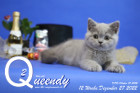 Queendy ist 12 Wochen alt ( 27.12.2022 )