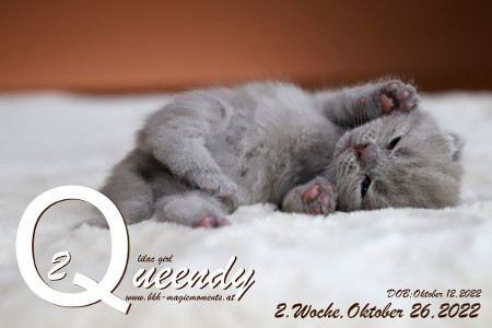 Queendy ist 2 Wochen alt ( 26.10.2022 )