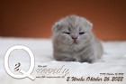 Queendy ist 2 Wochen alt ( 26.10.2022 )