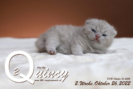 Quincy ist 2 Wochen alt ( 26.10.2022 )